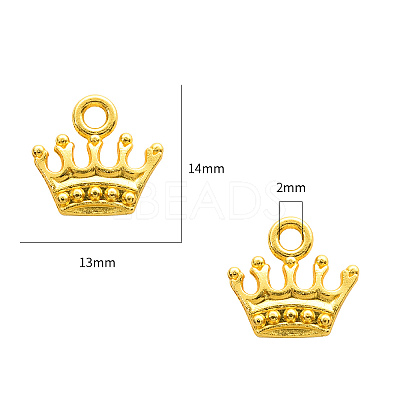 Zinc Alloy Charms PALLOY-YW0001-13G-RS-1