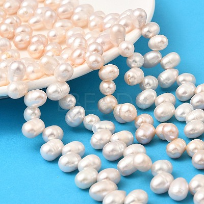 Natural Cultured Freshwater Pearl Beads Strands PEAR-I007-04E-03C-1