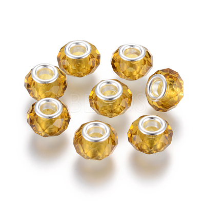 Handmade Glass European Beads X-GPDL25Y-72-1