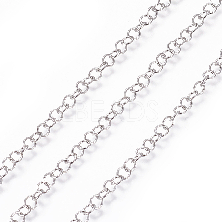 Non-Tarnish 3.28 Feet 304 Stainless Steel Rolo Chains X-CHS-L020-021B-P-1