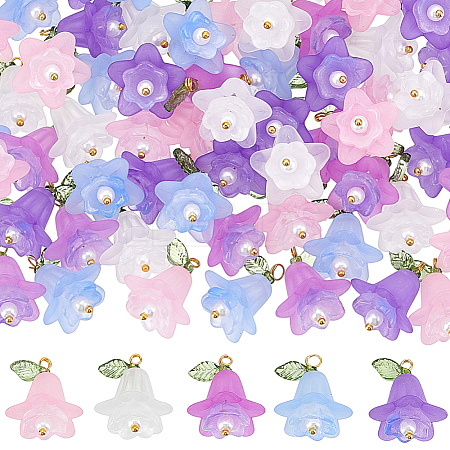 80Pcs 5 Colors Transparent Acrylic Pendants OACR-BM0001-05-1