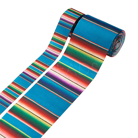 2Rolls 2 Styles Stripe Pattern Printed Polyester Grosgrain Ribbon OCOR-TA0001-37N-1