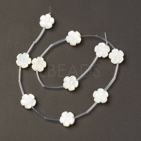 Natural White Shell Mother of Pearl Shell Beads BSHE-B005-04-1