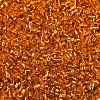 Electroplate Glass Seed Beads SEED-H003-10F-2