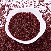 MIYUKI Delica Beads SEED-X0054-DB0603-2