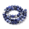 Natural South Africa Sodalite Beads Strands X-G-S259-35-6mm-3