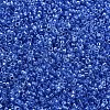 Glass Cylinder Beads SEED-S047-G-005-3