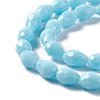 Faceted Glass Beads Strands GLAA-E037-01G-3