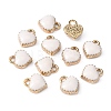 Alloy Enamel Charms ENAM-Q033-051B-3