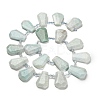 Natural Amazonite Beads Strands G-H078-A06-01-2