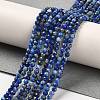 Natural Lapis Lazuli Beads Strands G-Z035-A01-01A-2
