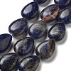 Natural Sodalite Beads Strands G-P528-L02-01-1