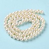 Natural Cultured Freshwater Pearl Beads Strands PEAR-E018-63-3