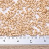 MIYUKI Delica Beads Small SEED-X0054-DBS0389-4