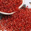 Glass Seed Beads X1-SEED-S042-04A-10-1
