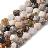 Natural Bamboo Leaf Agate Beads Strands G-Z119-A27-02-3