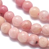 Natural Rhodonite Beads Strands G-A177-04-16-3