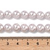Electroplated Shell Pearl Beads Strands BSHE-G041-8mm-06-2