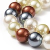 Shell Pearl Bead Strands BSHE-L017-18-5