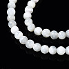 Natural Trochid Shell/Trochus Shell Beads Strands SSHEL-S266-023A-01-3