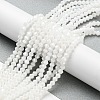 Opaque Solid Color Electroplate Glass Beads Strands GLAA-F029-P4mm-C15-4