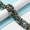 Natural Indian Agate Beads Strands G-C039-E01-2