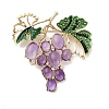 Resin Rhinestone Brooch JEWB-K027-09G-2