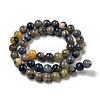 Natural Sodalite Beads Strands G-F591-13-3