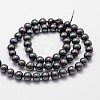 Shell Pearl Bead Strands BSHE-L025-05-6mm-2