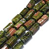 Natural Unakite Beads Strands G-O170-135-1