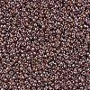 MIYUKI Round Rocailles Beads X-SEED-G007-RR0327-3