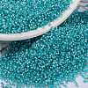 MIYUKI Round Rocailles Beads SEED-JP0010-RR0647-1