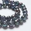 Natural Cultured Freshwater Pearl Beads Strands PEAR-R012-01-1