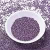 MIYUKI Delica Beads SEED-MY11-DB1173-2