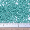 MIYUKI Round Rocailles Beads X-SEED-G007-RR0412-4