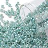 TOHO 8/0 Round Beads X-SEED-TR08-0915-1