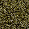 MIYUKI Round Rocailles Beads SEED-G007-RR4519-3