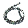 Natural Emerald Quartz Beads Strands G-F715-104A-2