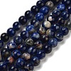 Natural South Africa Sodalite Beads Strands G-S259-35-12mm-01-4