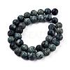 Frosted Natural Kambaba Jasper Beads Strands G-M272-14-6mm-4