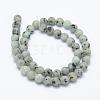 Natural Sesame Jasper/Kiwi Jasper Beads Strands G-F518-18-8mm-2