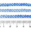 Transparent Painted Glass Beads Strands DGLA-A034-T3mm-A01-3