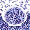 Picasso Glass Seed Beads SEED-N012-10F-2