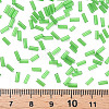 Transparent Glass Bugle Beads SEED-N005-001-C06-4