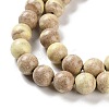 Natural Rainbow Alashan Agate Beads Strands G-NH0022-A-02-5
