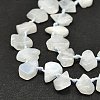 Raw Rough Natural Rainbow Moonstone Beads Strands G-E576-18-4