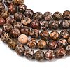 Natural Leopard Skin Jasper Round Bead Strands G-P072-45-10mm-5