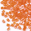 Grade A Glass Seed Beads SEED-S022-03C-2