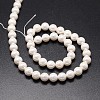 Shell Pearl Beads Strands BSHE-E008-4mm-12-2