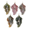 Natural Indian Agate Carved Pendants G-K372-06G-05-1